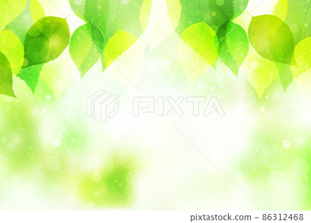 New green leaves landscape background New green leaves landscape background 86312468