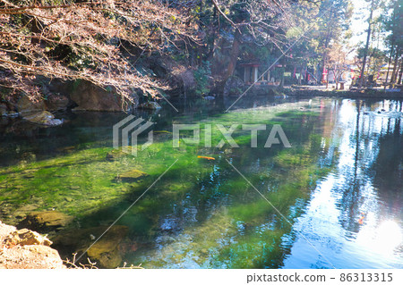 Izuruhara Bentenike 86313315