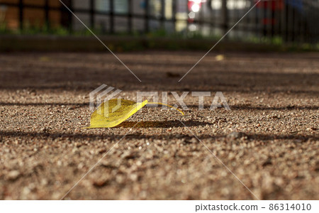 A fallen yellow leaf lies alone on the path. Soft focus photography. Tilt-shift effect. Autumn melancholic mood. 86314010