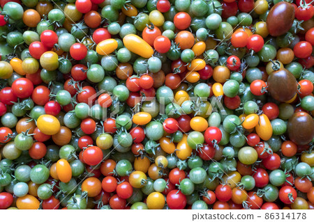 Background of red yellow green tomatoes, upper view. Beautiful color mixture in a tomato's crate closeup. 1,000 fresh tomatoes for publication, poster, screensaver, wallpaper, postcard, banner, cover Background of red yellow green tomatoes, upper view. Beautiful color mixture in a tomato's crate closeup. 1,000 fresh tomatoes for publication, poster, screensaver, wallpaper, postcard, banner, cover 86314178