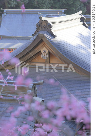 Odajin神社的梅花 86314518