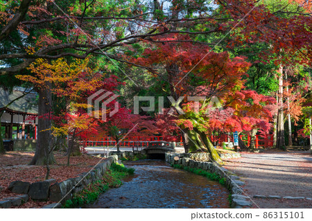 京都Kamigamo寺廟秋葉 京都Kamigamo寺廟秋葉 86315101