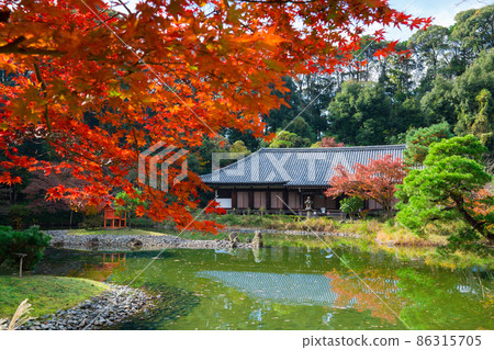 Kyoto Joruri-ji Temple, the main hall (Kyutai Amidado) and autumn leaves seen over the treasure pond 86315705