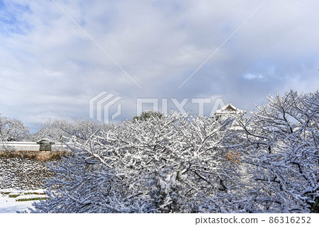 Snowy landscape of Kanazawa Castle Park Snowy landscape of Kanazawa Castle Park 86316252