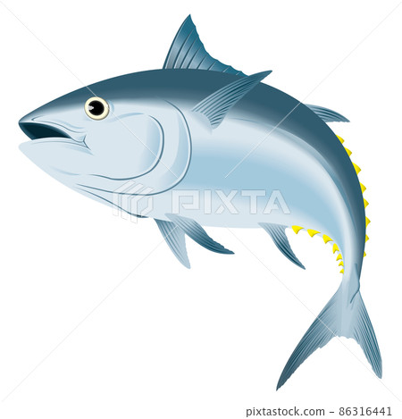 Tuna image Tuna image 86316441