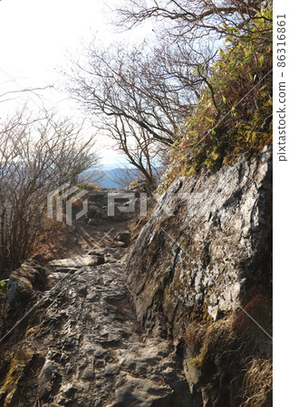 筑波男山 86316861