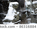 Snow-covered guardian dog The snow scene of the snow shrine that falls on the guardian dog 86316884