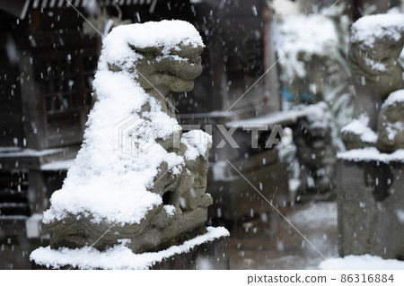 Snow-covered guardian dog The snow scene of the snow shrine that falls on the guardian dog 86316884