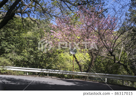 春山路徑 春山路徑 86317015