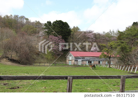 北海道日高地區的一個農場風景 北海道日高地區的一個農場風景 86317510