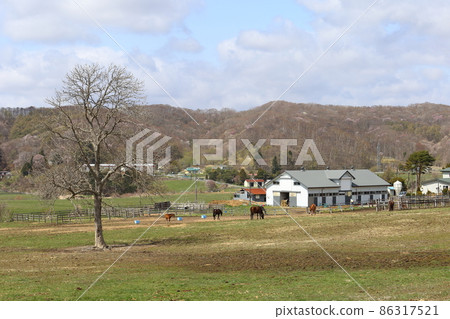 北海道日高地區的一個農場風景 北海道日高地區的一個農場風景 86317521