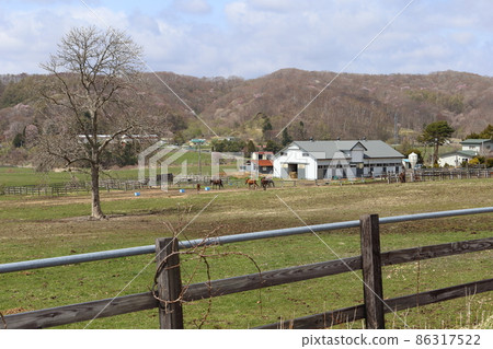 北海道日高地區的一個農場風景 86317522