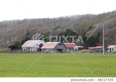 北海道日高地區的一個農場風景 北海道日高地區的一個農場風景 86317549