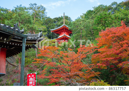 京都今熊野觀音寺的多寶和紅葉 京都今熊野觀音寺的多寶和紅葉 86317757