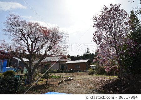 View from my home Spring 2021 # 89 View from my home Spring 2021 # 89 86317984