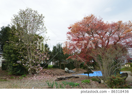 View from my home Spring 2021 # 108 86318436