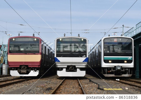 E531 series and E501 series trains lined up at the depot E531 series and E501 series trains lined up at the depot 86318836