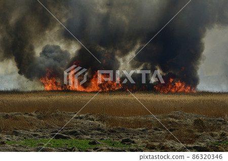 Wildfire in Watarase Retarding Ground 86320346