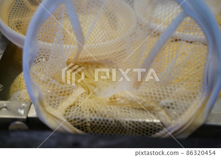 Sanuki Udon Sanuki Udon 86320454