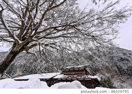 Snow scene at the foot of Mt. Hakusan Snow scene at the foot of Mt. Hakusan 86320793