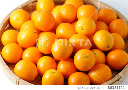金橘 金橘 86321111