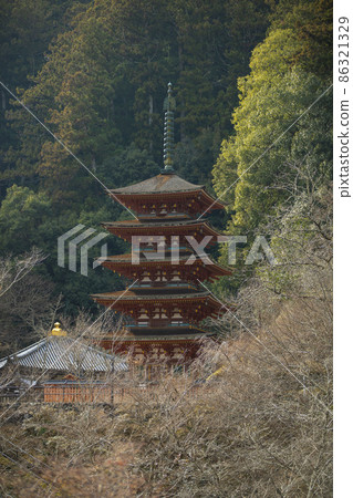 Five-story pagoda of Hase-dera in Hatsune, Sakurai City, Nara Prefecture Five-story pagoda of Hase-dera in Hatsune, Sakurai City, Nara Prefecture 86321329