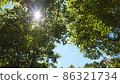 Sunbeams 86321734
