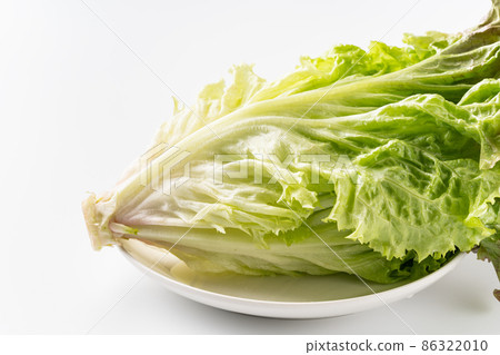 Leaf lettuce Leaf lettuce 86322010