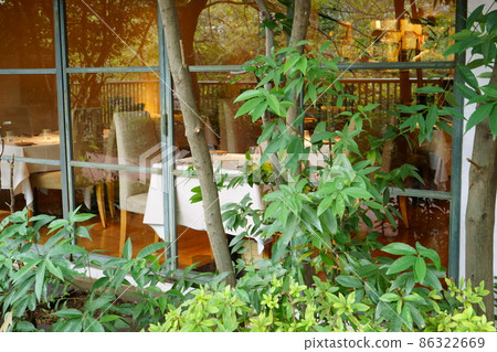 窗邊的綠色 窗邊的綠色 86322669