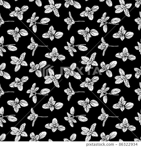 Basil Pattern. Italian herbs.A sprig of marjoram Basil Pattern. Italian herbs.A sprig of marjoram 86322934