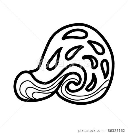 seashell. vector illustration in doodle style  86323162