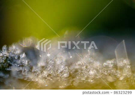 霜在早晨的陽光下閃耀 霜在早晨的陽光下閃耀 86323299