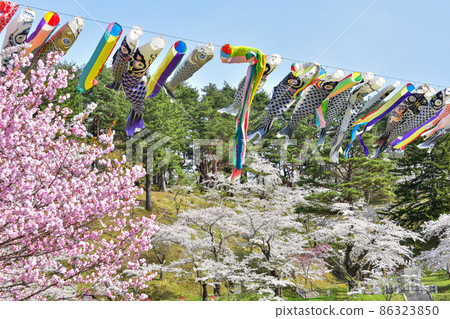 Atago Park Noheji 86323850