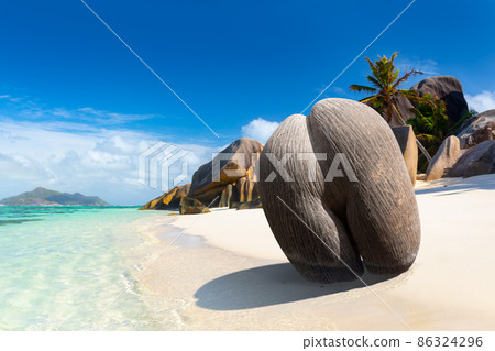 Coco de mer or sea coconut, or double coconut is the largest and sexiest nut in the world. Seychelles  86324296
