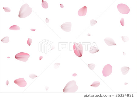Cherry background, sakura vector background 86324951