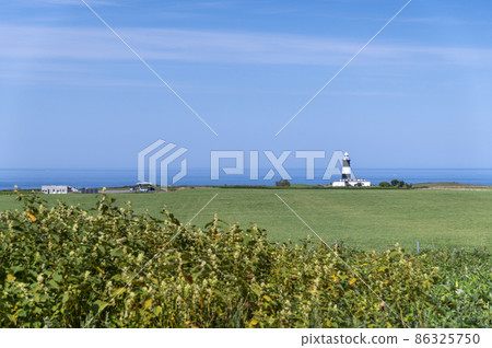 能取岬 夏季北海道 能取岬 夏季北海道 86325750