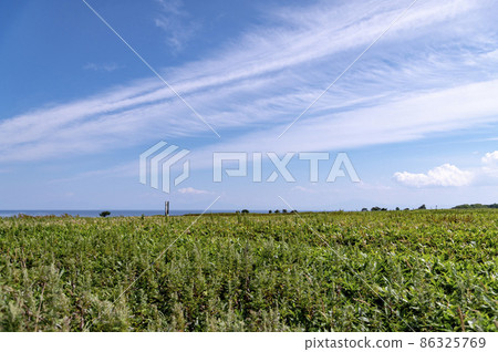 能取岬 夏季北海道 86325769