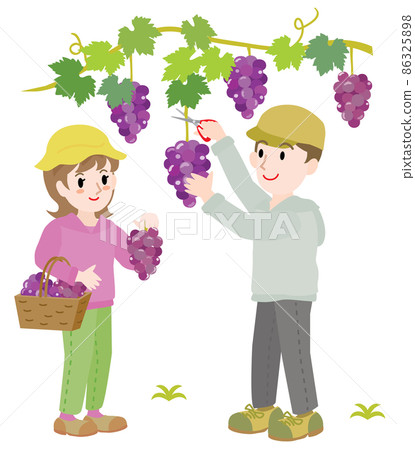 一對夫婦狩獵葡萄的插圖 86325898