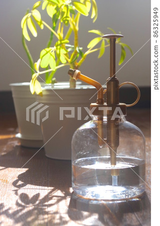 Sunlit plants and spray bottles Sunlit plants and spray bottles 86325949