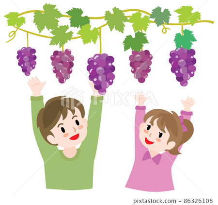 狩獵葡萄的孩子 86326108