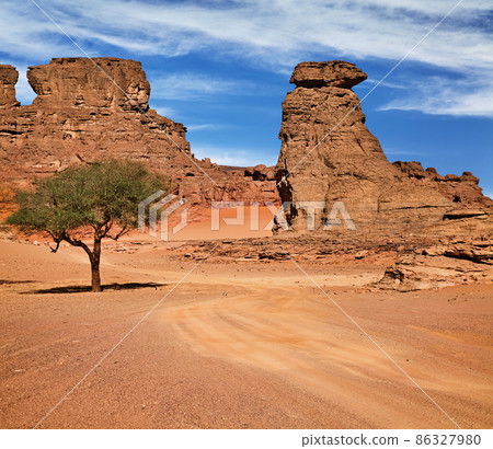 Sahara Desert, Algeria 86327980