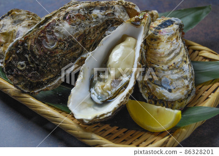 Lots of fresh shelled raw oysters 86328201