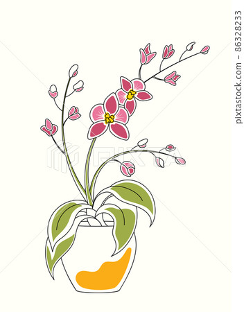 Line art watercolor illustration of orchid in pot with flowers and blossoms 86328233