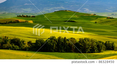 Tuscany, Italy landscape. Super high quality panorama taken at wonderful sunrise. Vineyards, hills, farm house. 86328450