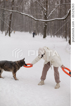 a girl in a white jacket playing with dogs a girl in a white jacket playing with dogs 86329263