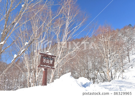 Manza Kogen Manzan Nozomi on New Year's Day, the white trunk of Betula ermanii grows in the deep blue sky Manza Kogen Manzan Nozomi on New Year's Day, the white trunk of Betula ermanii grows in the deep blue sky 86329965