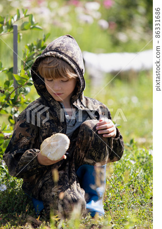 Young boy holding and looking on champignon mushroom in forest at sunny day 86331686