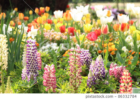 春天的自然花園 86332784