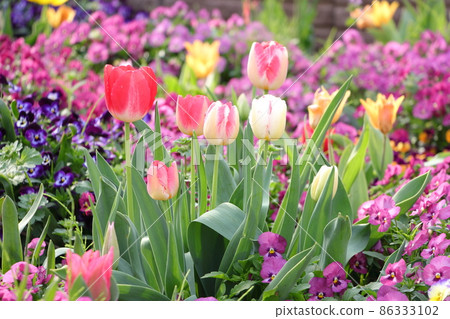 Spring natural garden Spring natural garden 86333102