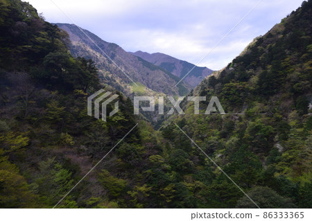 Mountains near Yume no Tsuribashi, Shizuoka Prefecture Mountains near Yume no Tsuribashi, Shizuoka Prefecture 86333365